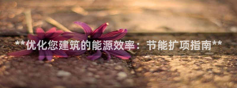 e尊电竞：**优化您建筑的能源效率：节能扩项指南**