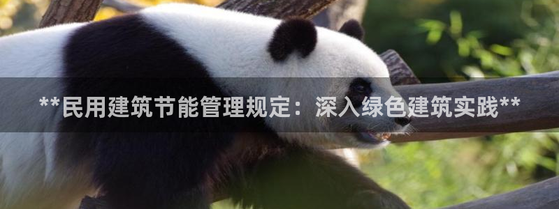 尊亿游戏国际官网：**民用建筑节能管理规定：深入绿色建筑实践**