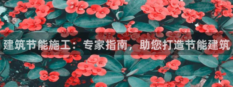 e尊国际官网·网址：建筑节能施工：专家指南，助您打造节能建筑