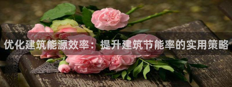 e尊国际可靠吗：优化建筑能源效率：提升建筑节能率的实用策略