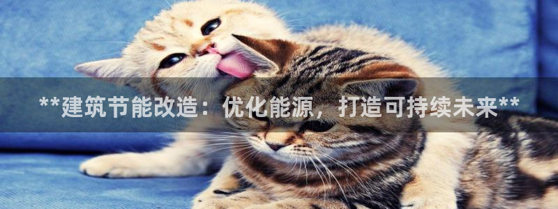 e尊国际是个黑网：**建筑节能改造：优化能源，打造可持续未来**