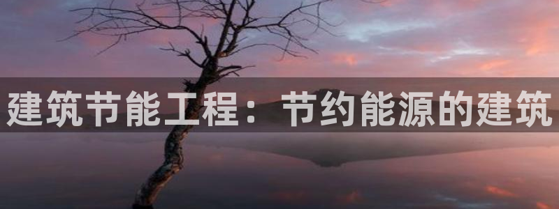 e尊国际官网·网址：建筑节能工程：节约能源的建筑