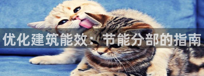 e尊国际app：优化建筑能效：节能分部的指南