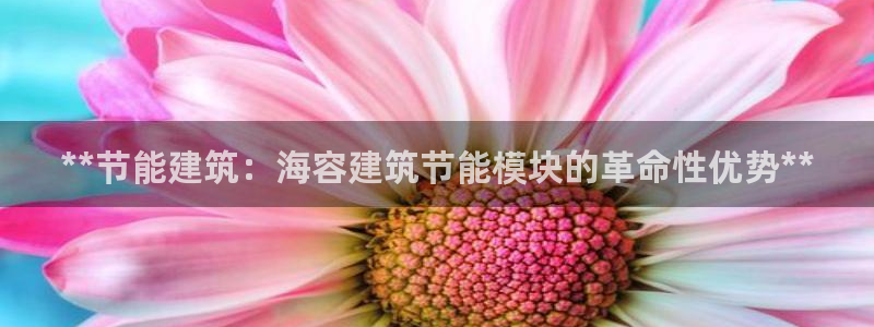 e尊国际app：**节能建筑：海容建筑节能模块的革命性优势**