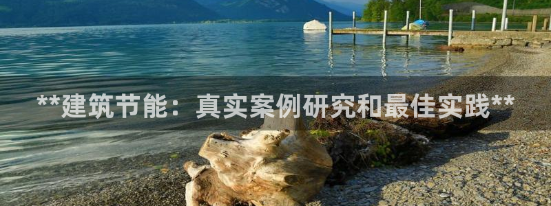 e尊平台：**建筑节能：真实案例研究和最佳实践**