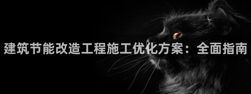 e尊国际的手机登录网站：建筑节能改造工程施工优化方案：全面指南