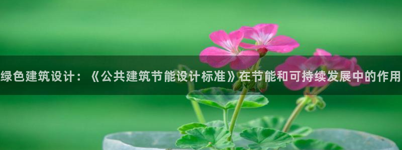 谁知道e尊国际的网址：绿色建筑设计：《公共建筑节能设计标准》在节能和可持续发展中的作用