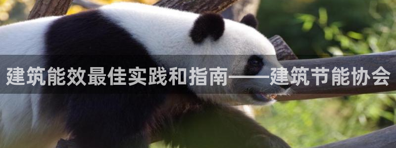 e尊国际是个黑网：建筑能效最佳实践和指南——建筑节能协会