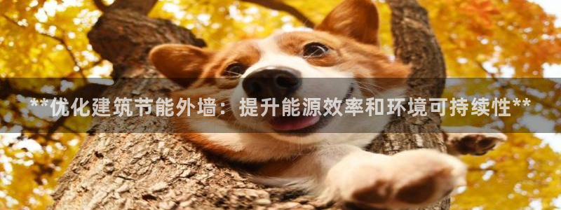 e尊体育：**优化建筑节能外墙：提升能源效率和环境可持续性**
