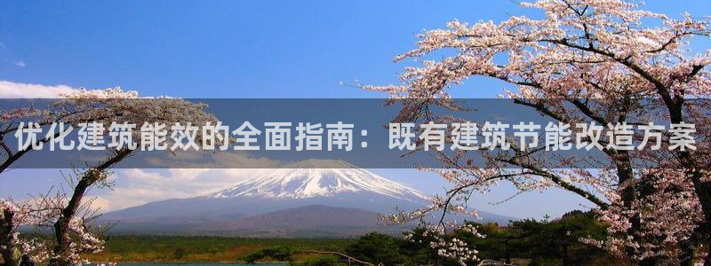 e尊国际官网·网址：优化建筑能效的全面指南：既有建筑节能改造方案