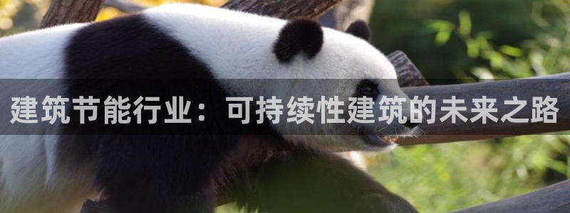 e尊国际官网：建筑节能行业：可持续性建筑的未来之路
