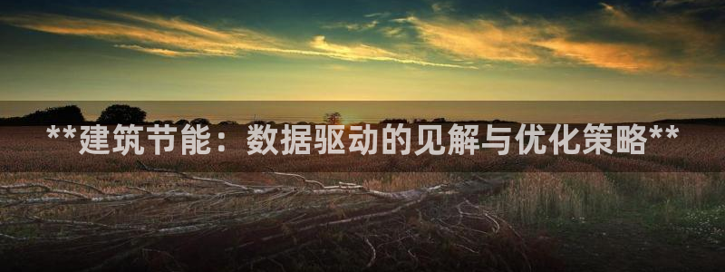 e尊国际平台：**建筑节能：数据驱动的见解与优化策略**