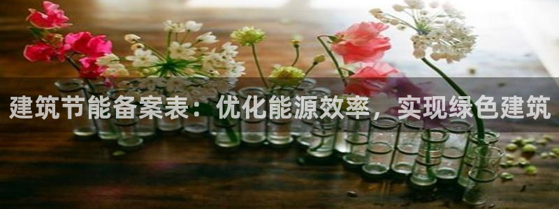 e尊国际是干什么的：建筑节能备案表：优化能源效率，实现绿色建筑