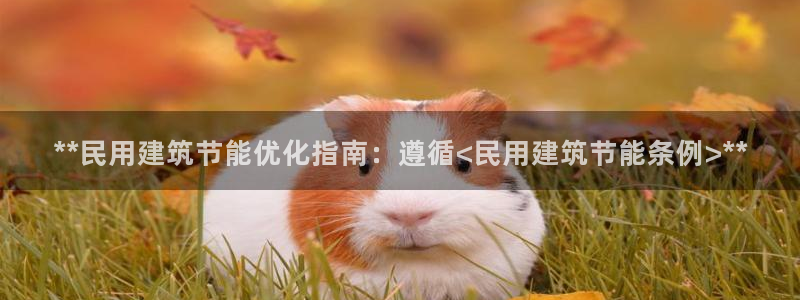e尊国际是个黑网：**民用建筑节能优化指南：遵循<民用建筑节能条例>**