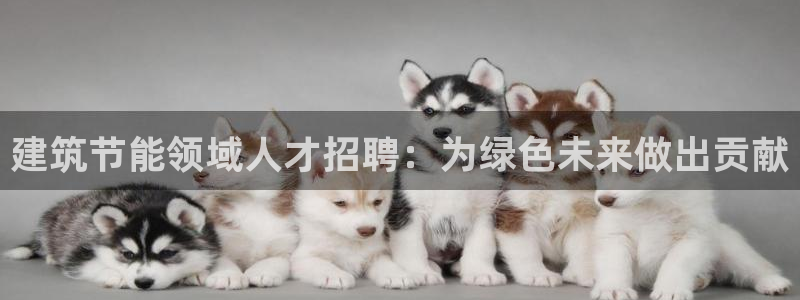 e尊电竞：建筑节能领域人才招聘：为绿色未来做出贡献