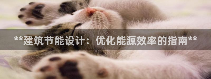 e尊国际客户端下载：**建筑节能设计：优化能源效率的指南**