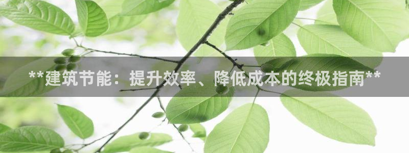 谁知道e尊国际的网址：**建筑节能：提升效率、降低成本的终极指南**