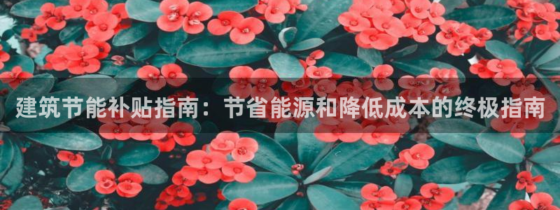 e尊国际是干什么的：建筑节能补贴指南：节省能源和降低成本的终极指南