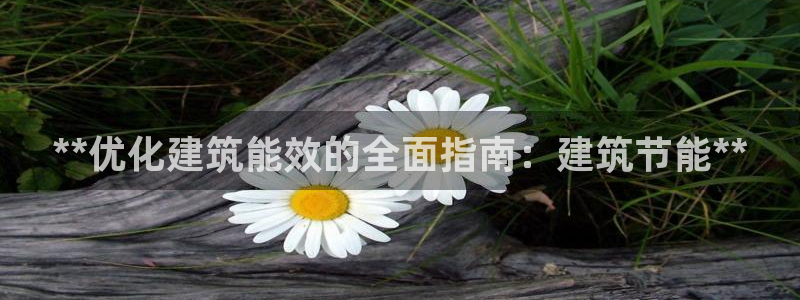 e尊国际平台：**优化建筑能效的全面指南：建筑节能**