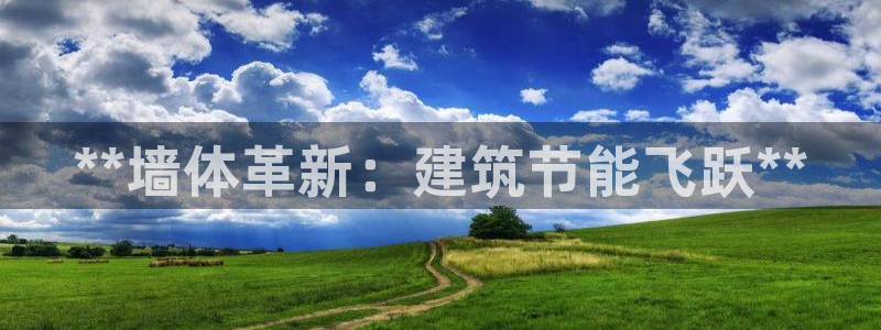 e尊国际-可可计划：**墙体革新：建筑节能飞跃**