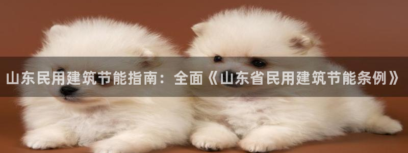 e尊国际平台