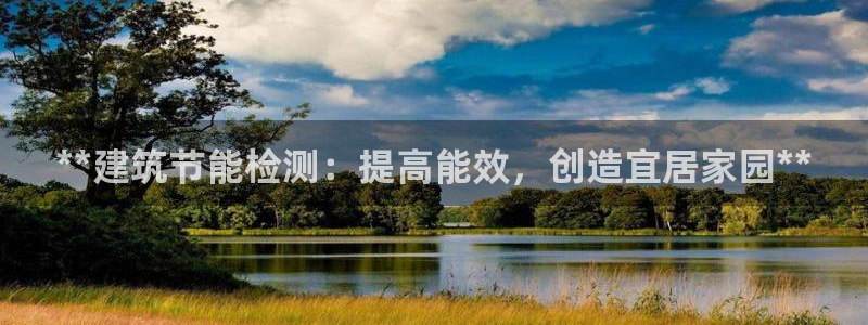 e尊官网：**建筑节能检测：提高能效，创造宜居家园**