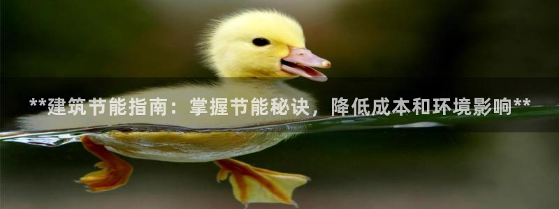 尊亿游戏国际官网：**建筑节能指南：掌握节能秘诀，降低成本和环境影响**