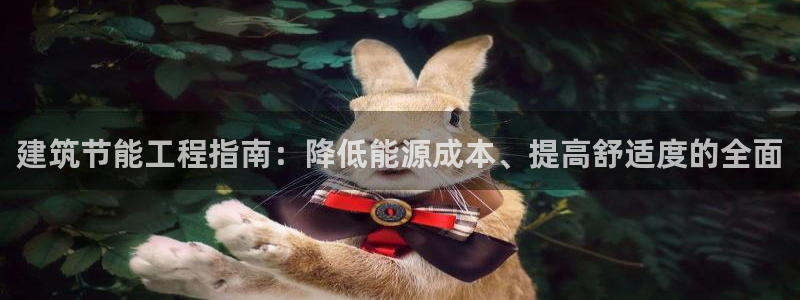 e尊国际地址：建筑节能工程指南：降低能源成本、提高舒适度的全面