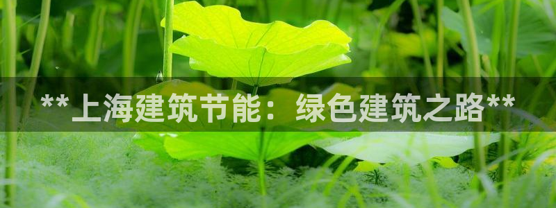 e尊国际娱乐官网下载：**上海建筑节能：绿色建筑之路**