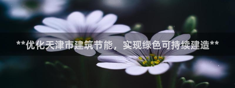 e尊国际官网：**优化天津市建筑节能，实现绿色可持续建造**