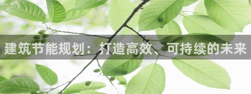 尊亿游戏国际官网：建筑节能规划：打造高效、可持续的未来
