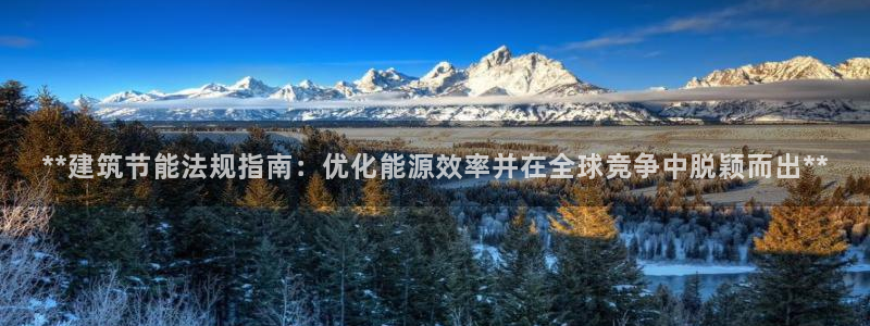 e尊国际地址：**建筑节能法规指南：优化能源效率并在全球竞争中脱颖而出**