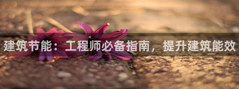 e尊国际客户端：建筑节能：工程师必备指南，提升建筑能效