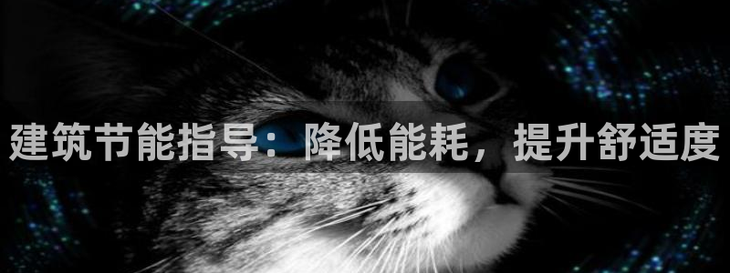 e尊体育：建筑节能指导：降低能耗，提升舒适度