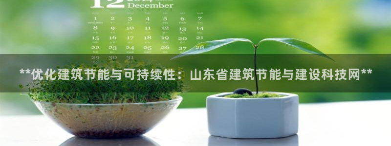 e尊国际娱乐官网下载：**优化建筑节能与可持续性：山东省建筑节能与建设科技网**