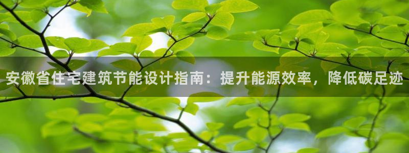 e尊电竞：安徽省住宅建筑节能设计指南：提升能源效率，降低碳足迹