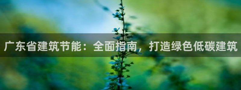 e尊国际官网