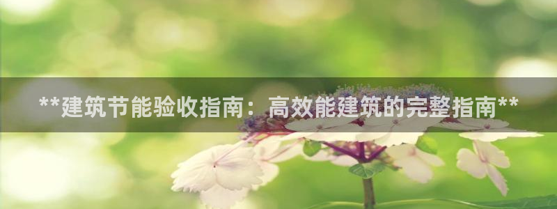 e尊电竞：**建筑节能验收指南：高效能建筑的完整指南**