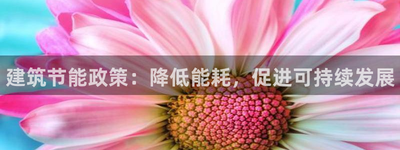e尊国际娱乐官网下载：建筑节能政策：降低能耗，促进可持续发展
