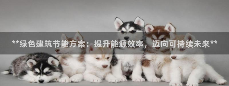 e尊国际app：**绿色建筑节能方案：提升能源效率，迈向可持续未来**