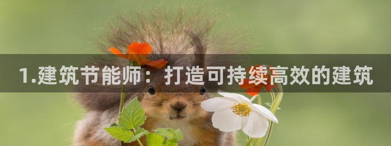 e尊国际客户端下载：1.建筑节能师：打造可持续高效的建筑