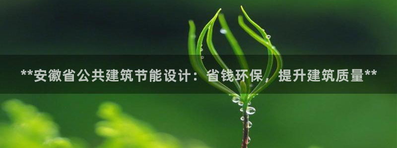 e尊国际的手机登录网站：**安徽省公共建筑节能设计：省钱环保，提升建筑质量**