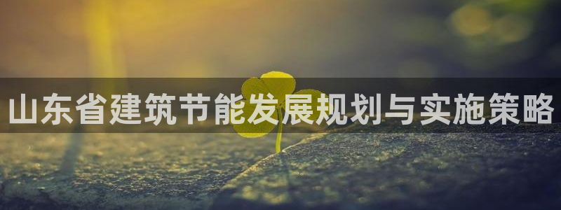 e尊国际-e尊国际官网：山东省建筑节能发展规划与实施策略