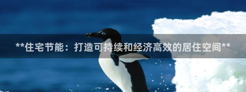 e尊平台：**住宅节能：打造可持续和经济高效的居住空间**