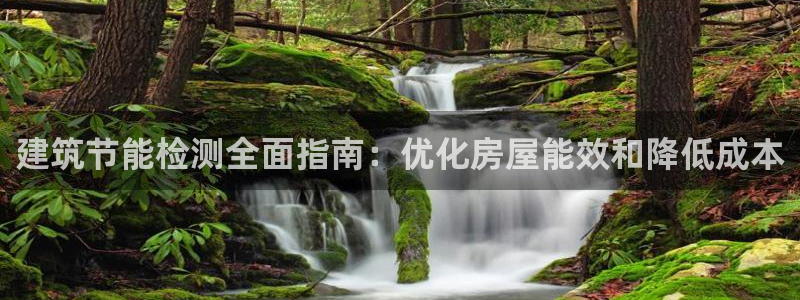 e尊国际官网app