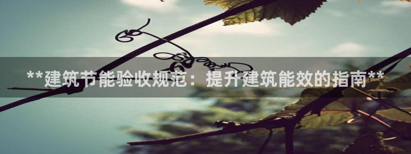 e尊国际可靠吗：**建筑节能验收规范：提升建筑能效的指南**