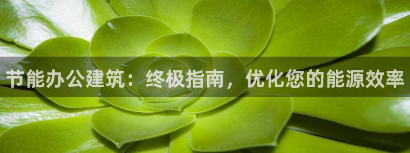 e尊国际平台：节能办公建筑：终极指南，优化您的能源效率
