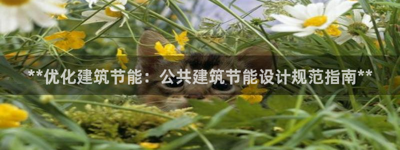 e尊国际娱乐官网下载