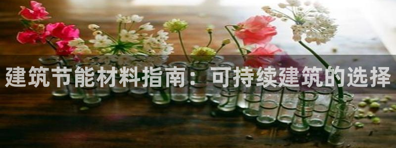 e尊国际平台：建筑节能材料指南：可持续建筑的选择