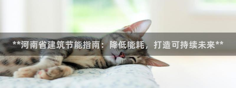 e尊国际-可可计划：**河南省建筑节能指南：降低能耗，打造可持续未来**